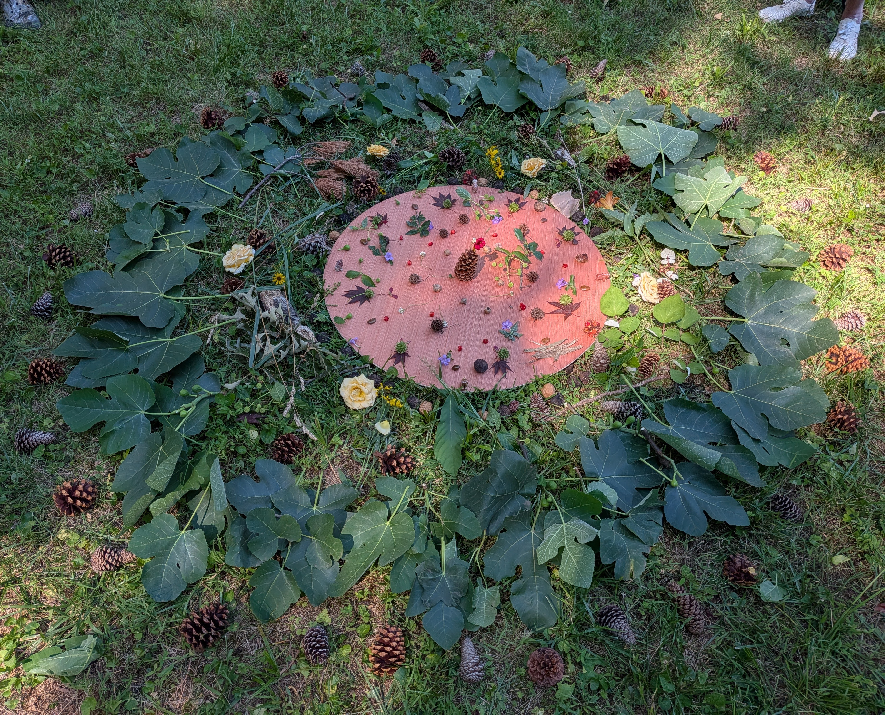 Nature mandala arranged with flowers, leaves, and natural materials